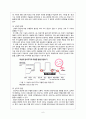 인간 행동과 사회 환경 - 중ㆍ장년기 발달과 주요 문제 6페이지