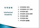 지적장애 (Intellectual Disability) - 정의 인구현황 원인 진단과 분류 종류 2페이지