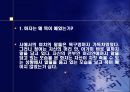 시인에 대한 조사 - 김광규 정진규 13페이지