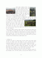 중국문화와 비즈니스 - 한중 관계의 우호적인 발전 방향 - 양국의 인식 9페이지
