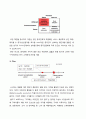 글로벌시대의 중국시장과 중국투자 - 불고기 브라더스의 중국 진출전략 12페이지