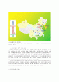크린랲의 중국시장 진출 성공 사례 분석 - 글로벌 시대의 중국시장과 중국 투자 4페이지