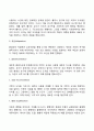 인지발달이론 4페이지