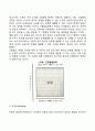 인지발달이론 13페이지