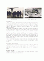 나이에 대한 편견 - 제시자료 선정 이유 수업에 이용하기 6페이지