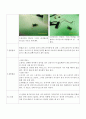2012 부천 과학 축전 - 반짝반짝 금모래 무한 회전 팽이 4페이지