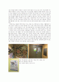 마을공동체 - 마포구 성미산 마을 방문 2페이지