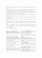 다큐멘터리 분석 - 아리랑 2페이지