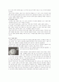 한국과 유사한 중국문화 - 식기류 교통수단 핸드폰 문화에 대하여 2페이지