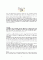 사라져가는 우리의 민속놀이 - 고누 공기놀이 꼬리따기 고무줄 놀이 12페이지