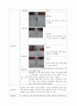 실습 보고서 - 천연색과 인공색소의 차이점 3페이지