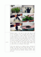 실습 보고서 - 염분의 농도의 따른 수초의 변화 결과 2페이지