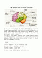 [유아의 뇌발달] 유아기 두뇌발달 2페이지
