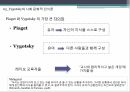 레지오에밀리아교수법사회적 구성주의피아제의 구성주의사회적 상호작용주의구성주의란피아제 학파의 사회적 상호작용주의 36페이지