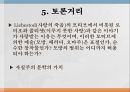 고트프리트 켈러시적사실주의 의등장낭만주의와 자연주의사실주의의 시대적 조건 14페이지