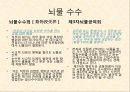 권위주의의 정의부패의 국민 여론부패에 대한 3사입장뇌물 수수 정의 및 조치 5페이지