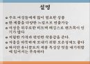 글로벌 경영패스트 패션(SPO)기업선정 유니클로SPA 브랜드란유니클로의 진입전략유니클로의 성공사례유니클로의 국내시장 진입 15페이지
