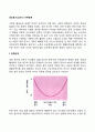 성인후기(노년기) 가족관계(노년기의 부부관계 부모자녀관계 손자녀와의 관계) 2페이지