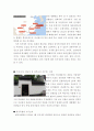 인문학기행계획서를 작성하시오 3페이지