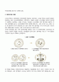 진화와 발달 유전인자의 전달 2페이지