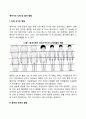 영아기의 신체 및 골격 발달 1페이지