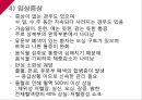 A+소화성궤양 7페이지