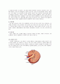 성인간호학 실습케이스 신장암 케이스( Renal cell carcinoma) 5페이지