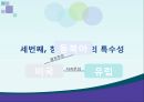 일본의 동북아 정책동북아 지역협력일본의 동아시아 지역주의오부치 정부고이즈미 정부하토야마 정부동아시아 지역화 35페이지