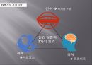 소외개념자본주의 시스템부의 세습사회주의마르크스 자본주의나르시즘 단계유아기 단계프로이트데리다의 해체이론 17페이지