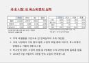 수입 자동차 산업국내 자동차 시장폭스바겐 자동차시장브랜드마케팅폭스바겐 서비스마케팅폭스바겐 글로벌경영사례분석 11페이지