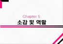가족복지론사실혼동거가족법률혼동거가족의 정의법령혼법령혼과 사실혼 차이점중혼적사실혼 30페이지