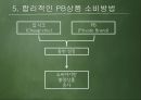 PB상품 마케팅PB상품 사례PB상품 문제 이슈PB상품 브랜드마케팅서비스마케팅글로벌경영사례분석 18페이지
