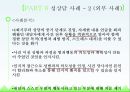 성상담상담심리학성상담의 개요성의 의미성교육과 성상담 17페이지