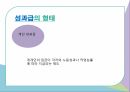 성과급의 정의성과급의 형태성과급 직무만족도성과급이란성과급의 형태성과급의 장단점 5페이지