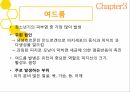 청소년기청소년기의 정의청소년기 특징건강문제생물학적 특징질풍 노도의 시기섭식장애월경곤란증척추 측만증 12페이지