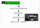 홍콩우산시위한국 419 혁명 13페이지