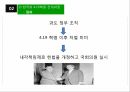 홍콩우산시위한국 419 혁명 16페이지