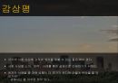 공리주의자유지상주의최대행복원칙 13페이지