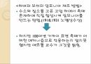 노벨상 조사노벨 생리의학상노벨 화학상 12페이지