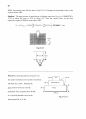 Fluid Mechanics-Frank M White Solution Ch2 63페이지