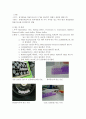 DNA 추출 (DNA extraction from Mammalian cell line) 실험 보고서 2페이지