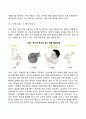 신생아기 영아기의 신체발달의 특징 10페이지