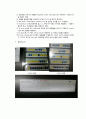 Carbohydrate 이용에 의한 미생물 동정 실험 보고서 2페이지