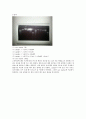 Restriction Enzyme (제한효소)에 의한 DNA digestion 실험 보고서 2페이지