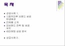 디지털케릭터 마케팅 조사분석호두마루 2페이지