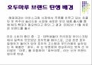 디지털케릭터 마케팅 조사분석호두마루 3페이지