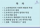 모차르트 레퀴엠고전파음악 2페이지