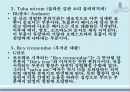모차르트 레퀴엠고전파음악 20페이지