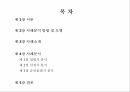 종합편성채널종합편성 4채널네트워크 구조 2페이지