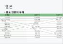 한국정치 이념갈등언론과 이념갈등일상생활 이념갈등민주주의 언론의 자유언론의 역할언론과 이념갈등 사례 24페이지